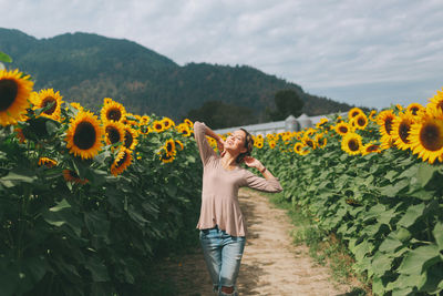 Full length of sunflower standing in field