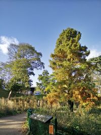 Trees on landscape against sky