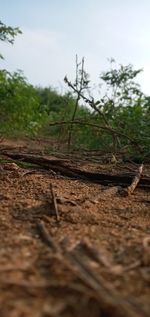 Surface level of land against sky