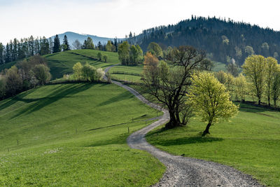 Scenic view of trees on field against sky