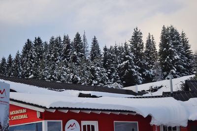 Snow covered houses and trees against sky