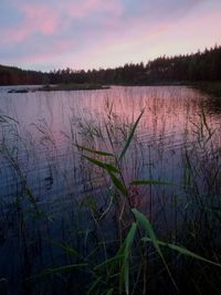 Scenic view of lake against sky during sunset