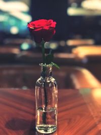 Close-up of red rose in vase on table