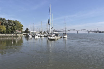 Sailboats moored in marina