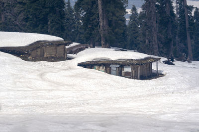 Snow covered houses by trees and mountains during winter