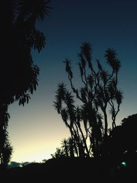 Low angle view of silhouette trees against clear sky