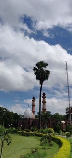 Scenic view of palm trees and buildings against sky