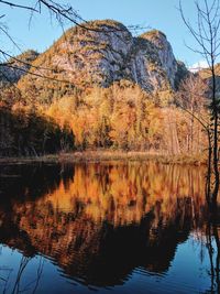 Reflection of trees in lake