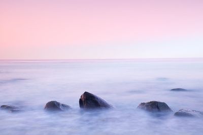 Peaceful morning at sea. big boulders in smooth wavy sea. pink horizon with first hot sun rays.