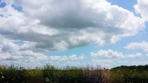 Scenic view of field against cloudy sky