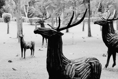 View of deer on field