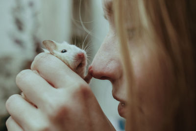 Portrait. the hamster touches the girl's nose with his paw. high quality photo