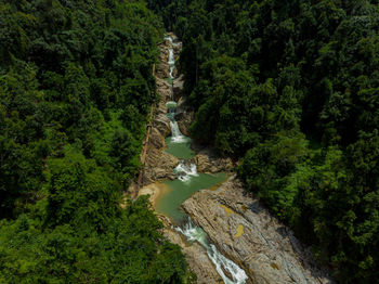 High angle view of waterfall amidst trees in forest