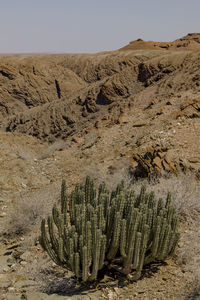 Scenic view of land against clear sky