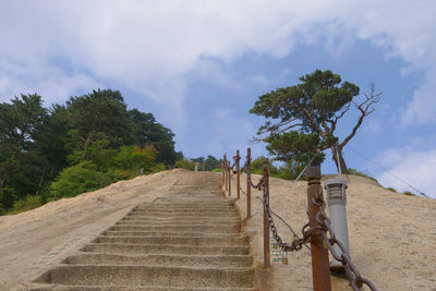 Footpath amidst trees against sky