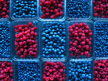 berry fruit