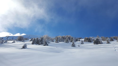 Snow covered landscape against blue sky