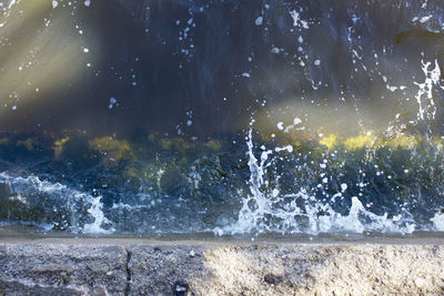 Close-up of trees against sky at night