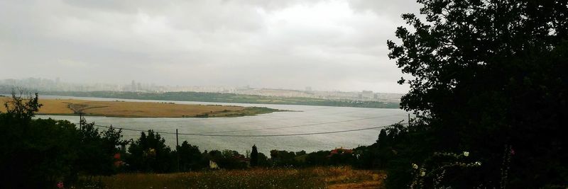 Trees on field against sky