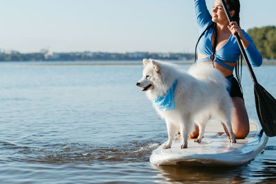 Japanese spitz dog standing on sup board, woman paddleboarding with her pet on the city lake