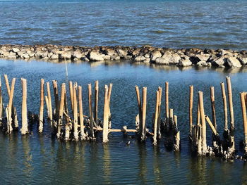 High angle view of wooden post in sea