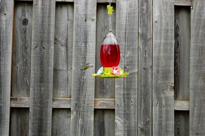 Close-up of red bird feeder