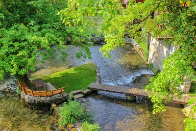 High angle view of stream amidst plants
