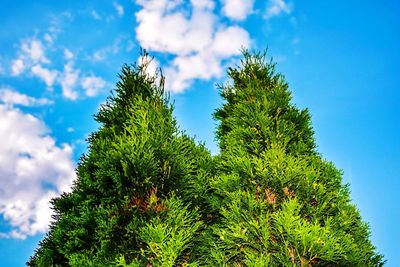 Low angle view of trees against cloudy sky