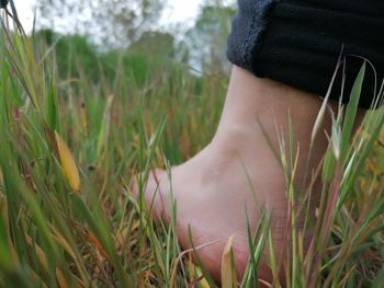 Midsection of woman on grass in field