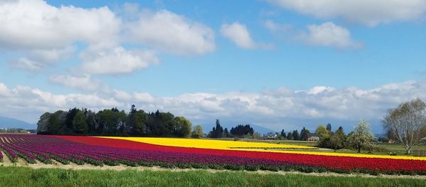 Scenic view of field against cloudy sky