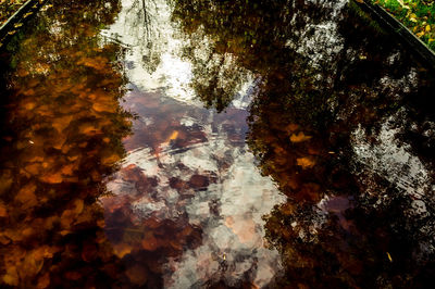 Reflection of trees in water against sky