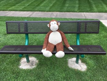 Monkey on bench
