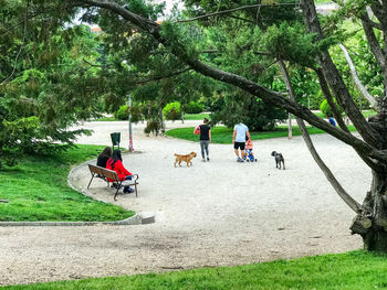 People in park