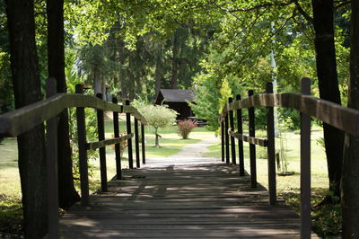 Empty footpath amidst trees in forest
