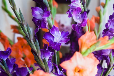 Close-up of purple flowering plants