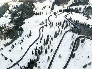 High angle view of zebra crossing on snow covered land