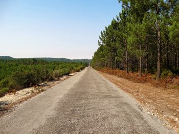 Road amidst trees against clear sky