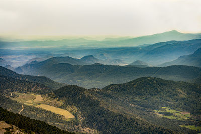 environment
