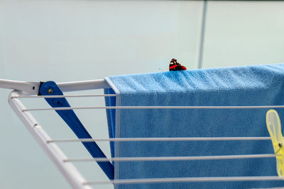 Close-up of butterfly on towel