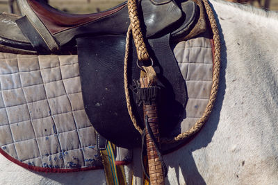 Old saddle on a white horse