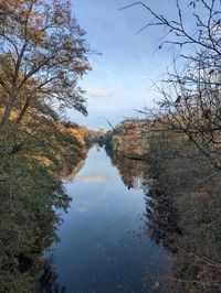 reflection