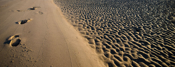 View of sandy beach