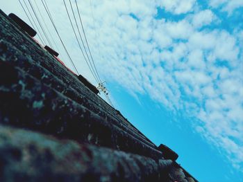 Low angle view of an insect