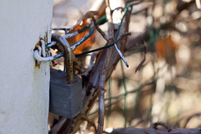 Close-up of rusty metal