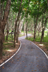 Road amidst trees in forest