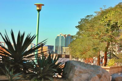 Low angle view of trees against clear blue sky
