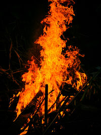 Close-up of bonfire on field at night