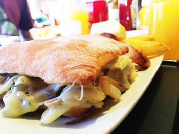Close-up of meal served in plate
