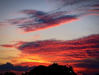Silhouette trees against sky during sunset