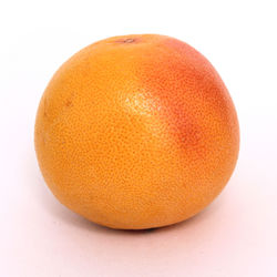 Close-up of orange fruit against white background